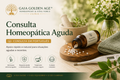 Consulta Homeopática Aguda – Português (30 min)