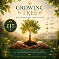 🌿 Growing Tree £15— Your generosity helps new branches of hope grow.