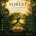 🌳 Forest Guardian £30 — You help protect and expand a living forest of wisdom.