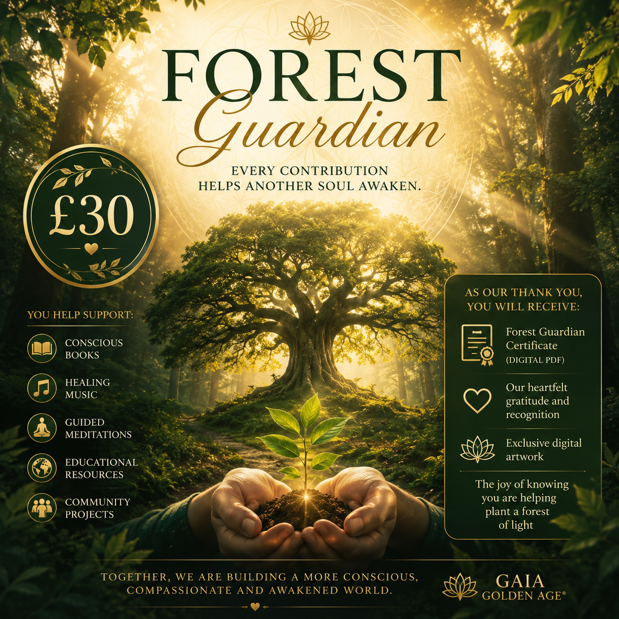 🌳 Forest Guardian £30 — You help protect and expand a living forest of wisdom.