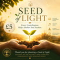 🌱 Seed of Light £5 — Every great forest begins with a single seed.